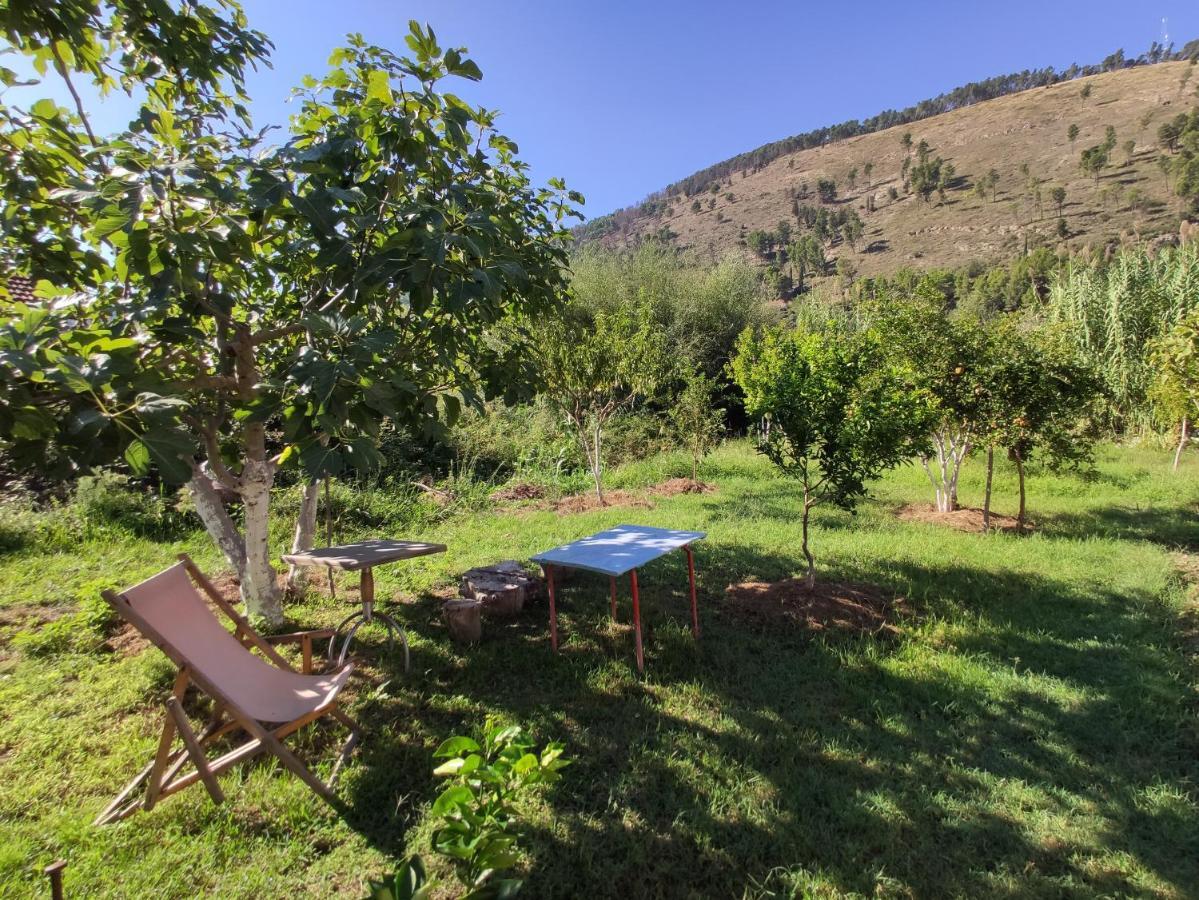 Olive B&B Berat Eksteriør bilde