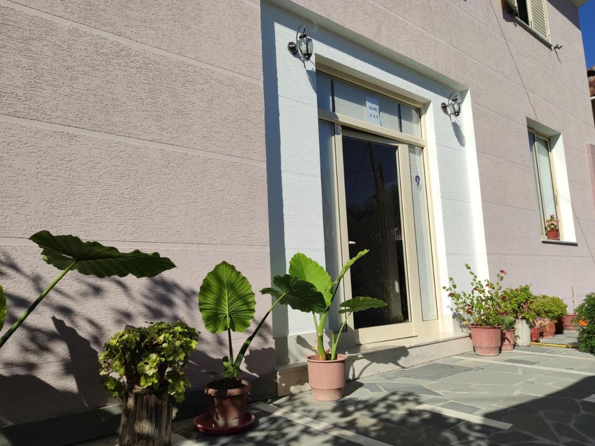 Olive B&B Berat Eksteriør bilde